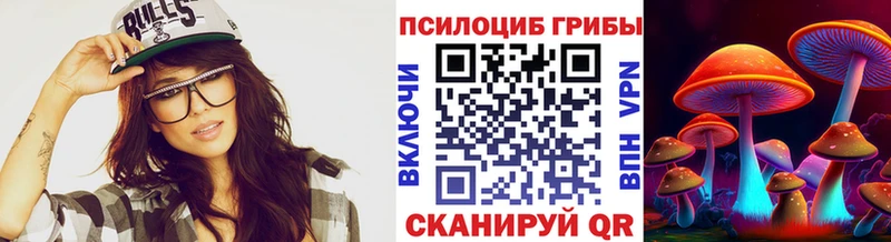 купить наркотики сайты  кракен сайт  Галлюциногенные грибы Psilocybe  Зарайск 